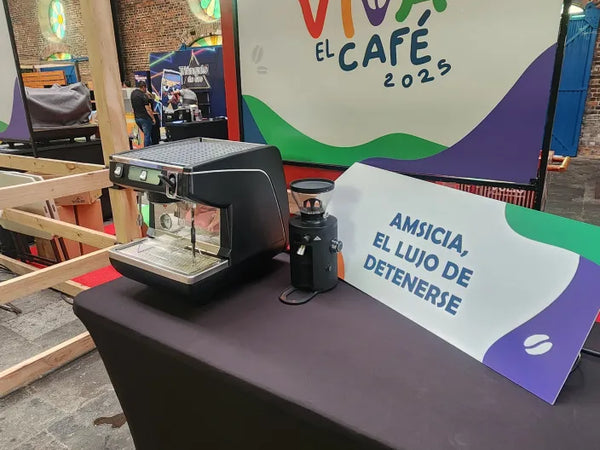 Imagen de la experiencia Amsicia